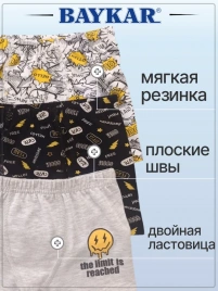 Трусы мальч Baykar 3530-78 многоцвет